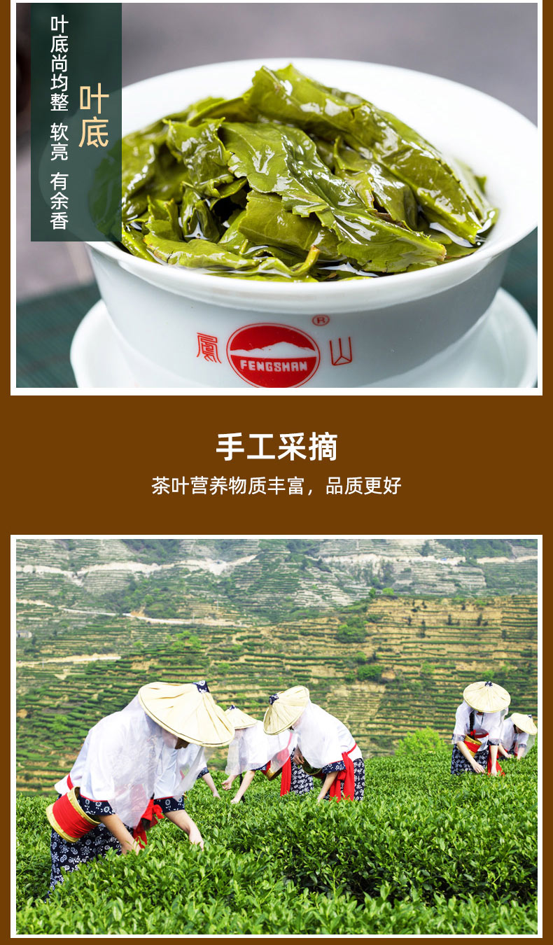 钓鱼台国宾馆供应商 凤山 安溪特级清香型铁观音 250g*2盒 图4