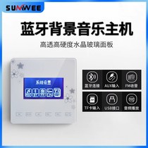 Type 86 mini Bluetooth background music host system embedded glass panel home store hotel player