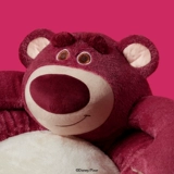 Sleaseaqi Series Series Series Pet Gnest Gnes