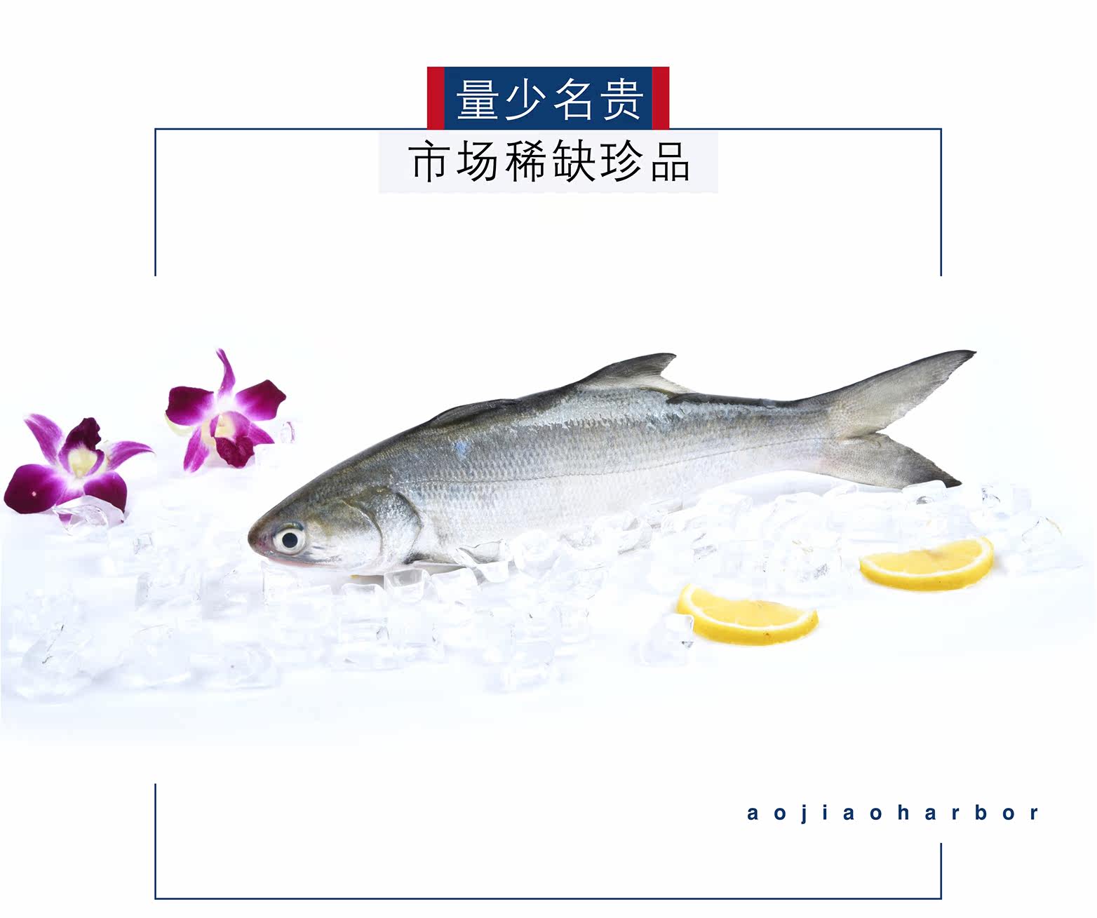 Свежая продукта - полдень рыбы - первая половина_05.jpg