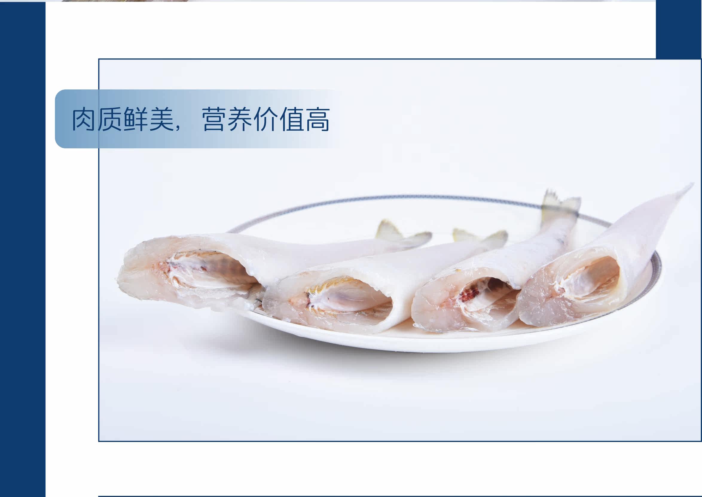 Рыба-сандрональная рыба_05.jpg