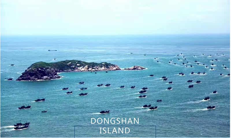 Краб-2 кот плоских крабов (1) _20.jpg