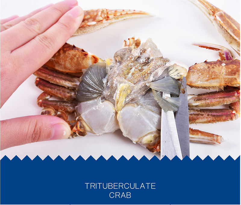 Краб-2 кот из плоских крабов (1) _15.jpg