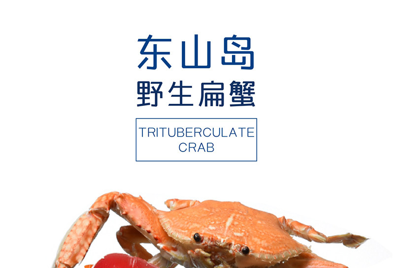 Краб-2 кот из плоских крабов (1) _01.jpg