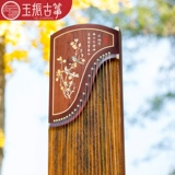 [Yuzhen Guzheng] Цзяо Йин выслушал, как профессиональная галстук Тястоте