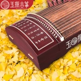 [Yuzhen Guzheng] Цзяо Йин выслушал, как профессиональная галстук Тястоте