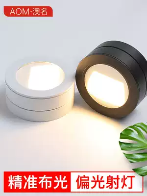 Polarized spotlight led wall washer hotel aisle home ceiling painting downlight without main light design scheme