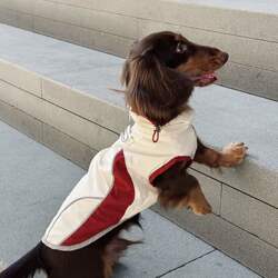 Cold-proof Dachshund Pet Clothes Fall and winter Reflective Charge Clothes Cat Yorkshire Malziskokee Small and Medium