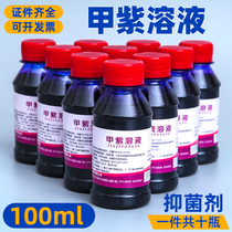 10 bottles of purple potion medical 100ml small bottle chia purple solution gentian violet disinfectant antibacterial agent skin germicidal