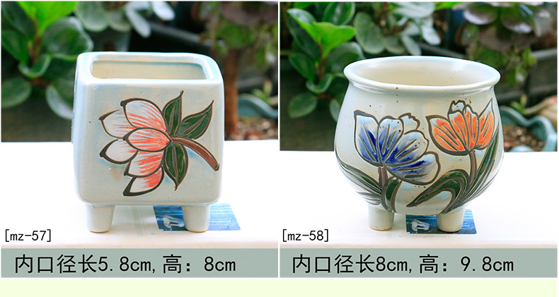 Fleshy flower - pot ceramic biscuit firing TaoHua implement creative mini indoor other Chinese wind restoring ancient ways is hand - made of flowerpot