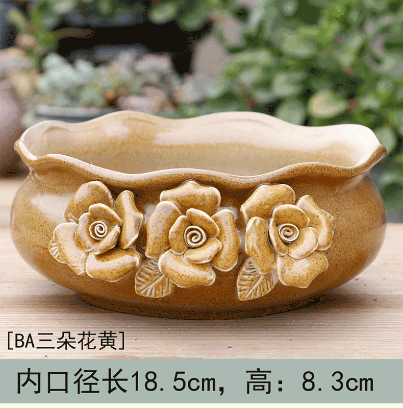 Creative fleshy flower POTS, large diameter platter is ceramic contracted character large extra large clearance meat potted the plants