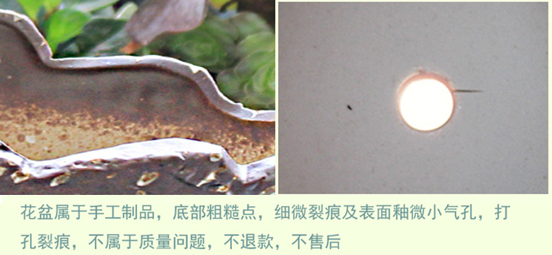 Creative fleshy pot move basin large Gao Jian about meat meat the plants green plant POTS coarse pottery basin of breathable specials