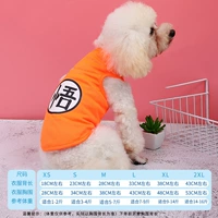 Джинджер Гоку