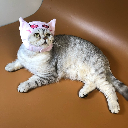 Обложка котенка Killer's Kide