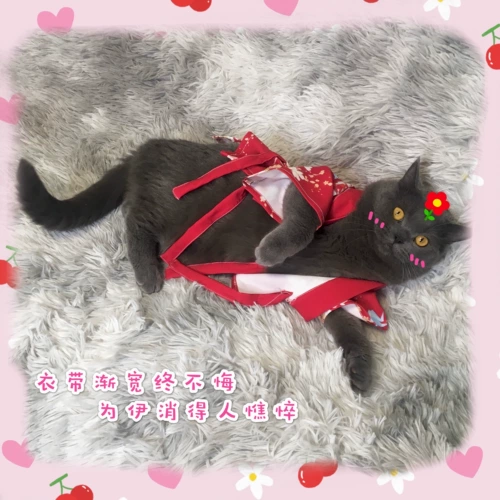 Японская летняя шифоновая куртка, банный халат, семейный стиль, набивка пером