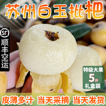 Ultra sweet Zhenzzong Dongshan Baiyu loquat fresh беременная женщина фрукты 5 catty с внебольшой локтевой коробкой подарков Shunfeng
