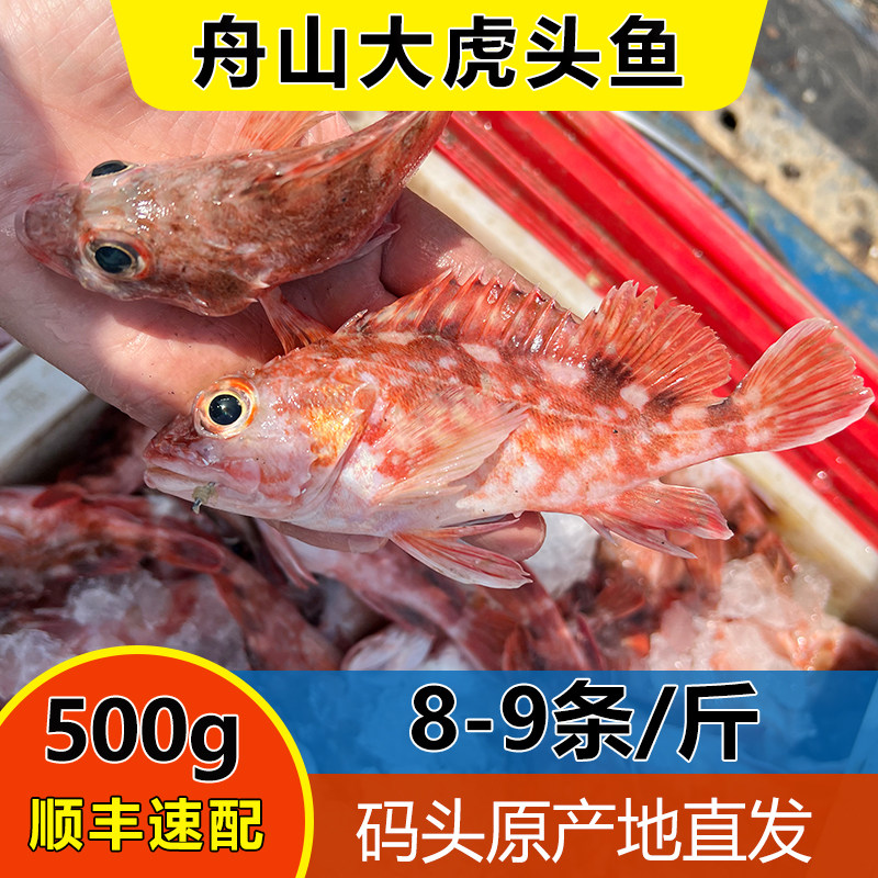 舟山东海海钓石翁鱼石九公虎头鱼小红斑：补钙神器+鲜到掉眉毛！海鲜控必入的深海狠货！-斑鱼-淘宝好物网