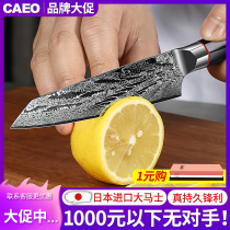 Damascus Steel Knife Water Fruit Knife Home Coop Special Sashimi Knife Japanese Kitchen Knife German Kitchen Knife Super Quick Sharp