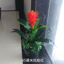 Plants are lucky home living room storefront decoration potted plants fake flowers lucky auspicious flowers