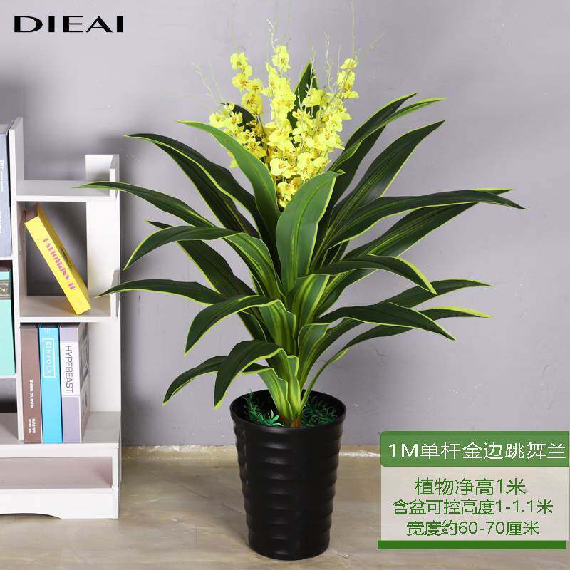 Dancing orchid living room indoor large floor-to-ceiling plants decorative flowers and plants potted scenery Brazilian wood iron fake tree green plant bouquet