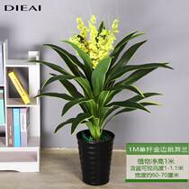 Dancing orchid living room indoor large floor-to-ceiling plants decorative flowers and plants potted scenery Brazilian wood iron fake tree green plant bouquet