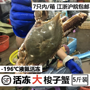 Плавательный краб Чжоушань свежемороженый краб морепродукты водные продукты очень крупный дикий замороженный морской краб белый краб краб-самец летающий краб Сан-Франциско