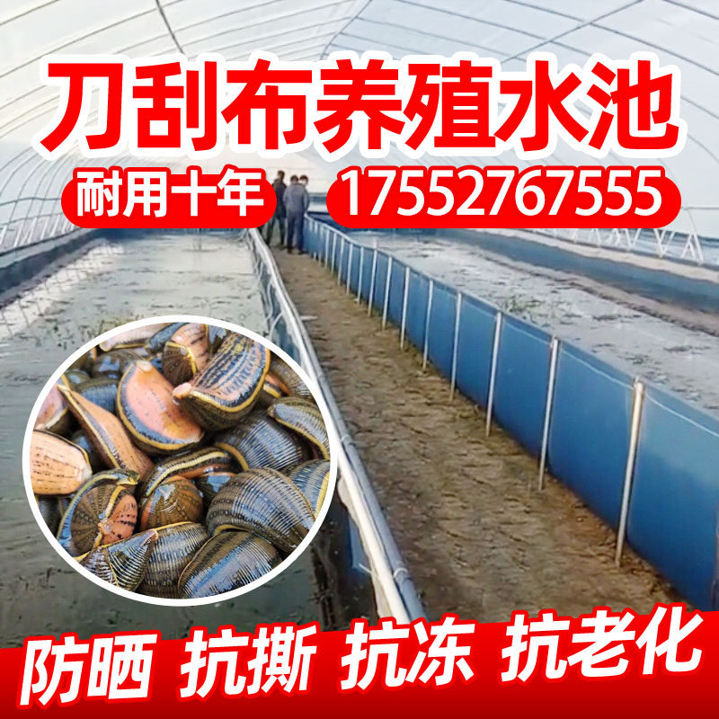 Leech Leech Leeches Leech Canvas Fish Pool Waterproof Cloth Raising Fish Pool Swimming Pool Anti-Rain Cloth Thickened Tank High Density Cistern