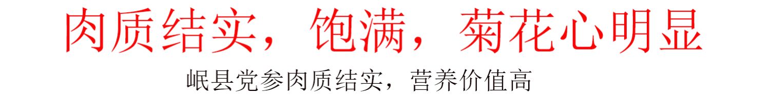 【御归】甘肃无硫党参500克g包邮大条