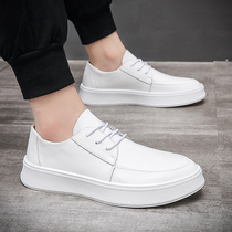 2022 small white shoes sneakers summer thin breathable shoes thick - sole mens shoes and casual tide shoes