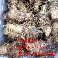 Бамбуковый бутик средний