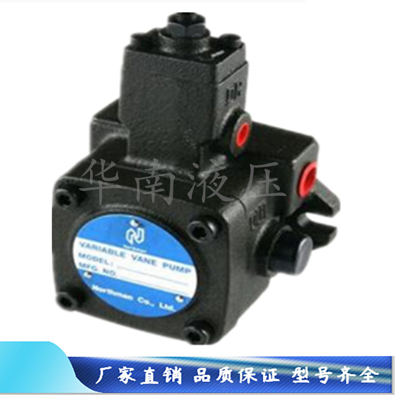 Variable Vane Pump VPVC-F12 F20 F30 F40-A3 A4-02A NORTHMAN