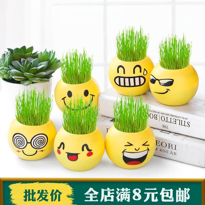 Small pot hydro room mini-negative green plant with seed small grass desktop student graduation award gift