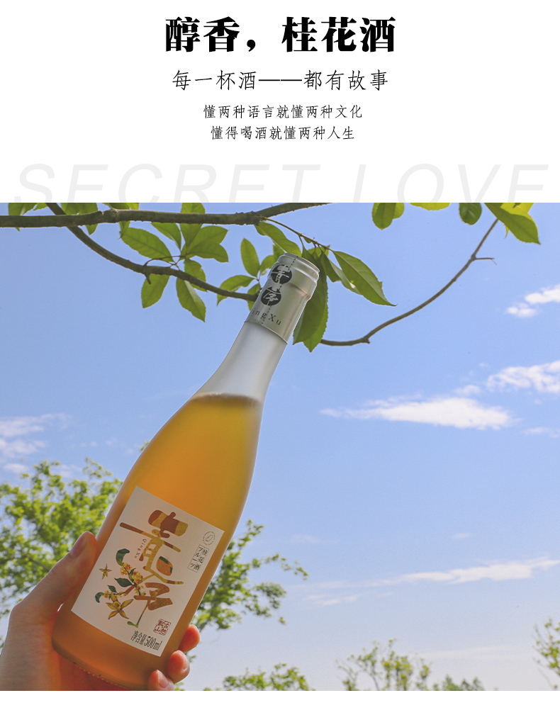 【绍兴古越龙山】低度甜味果酒500ml