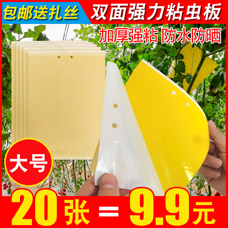 Yellow board double-sided sticker board insect trap sticker extinguish small flying insect dip fruit fly trap orchard fly greenhouse
