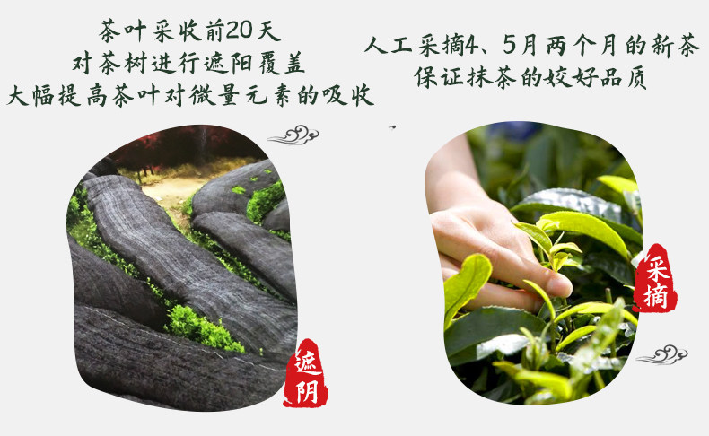 Белый остров матча порошок_04.jpg