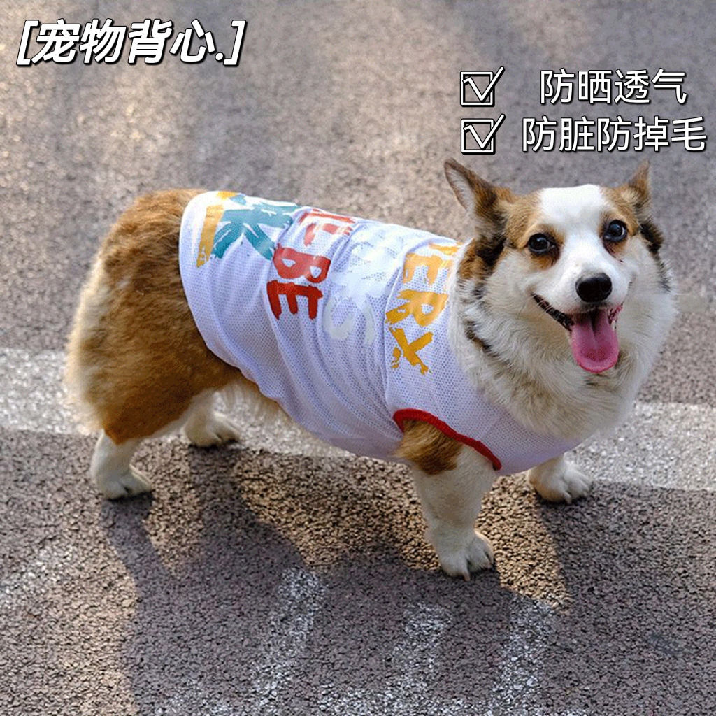 Corgi pet spring and autumn summer light and thin sunscreen clothes dog medium and small sleeveless breathable T-shirt mesh sunscreen vest