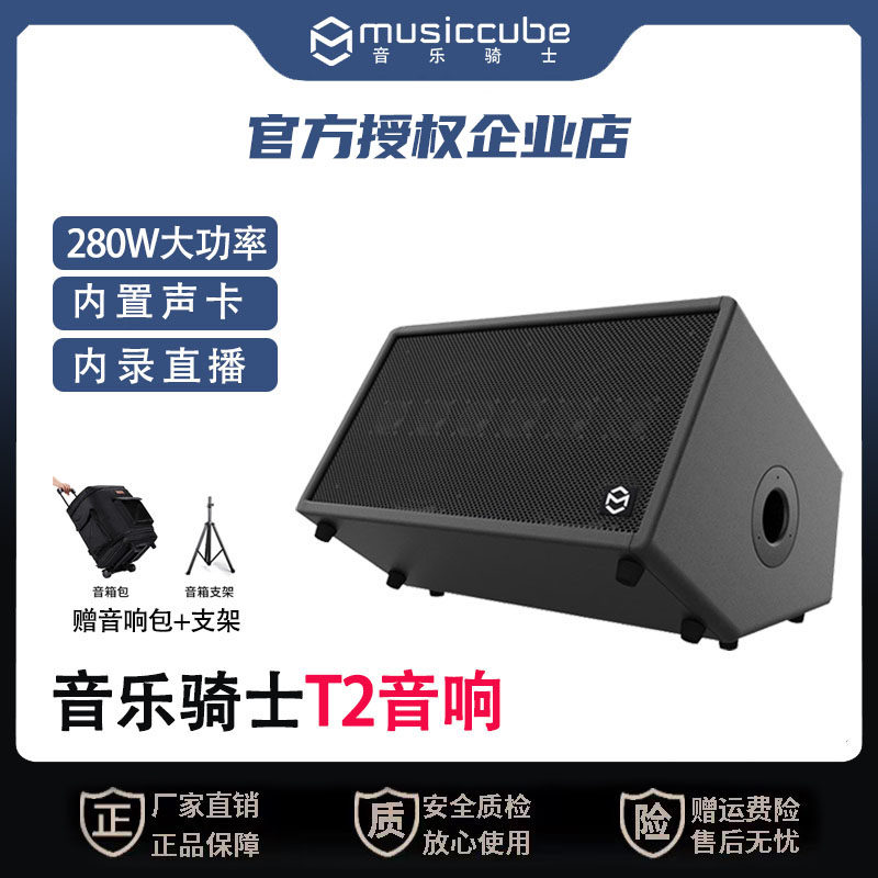 Music Knight T2 Musical Instrument Audio Outdoor karaoke guitar saxophone street playing and singing portable Bluetooth live speaker