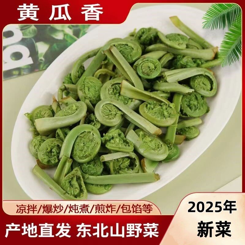 25年黄瓜香野菜：东北山里的宝藏蔬菜！蘸酱绝绝子，吃过的都说上头