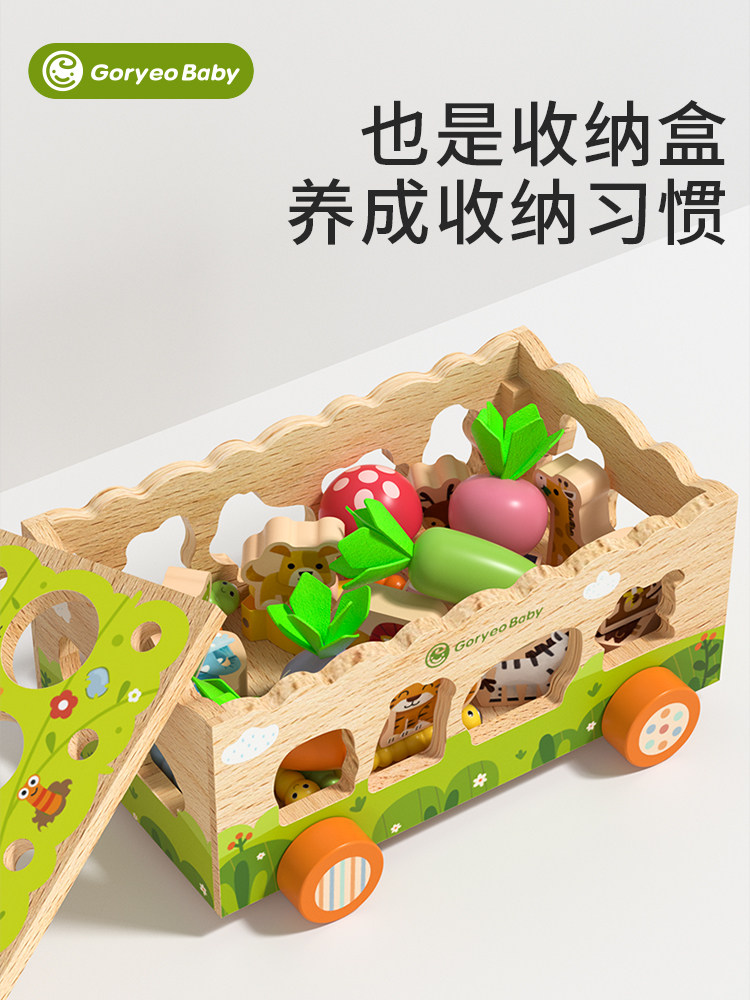 Montessori Early Education Shape Matching and Recognition Toy for Infants and Young Children, Carrot Pulling, Gender Recognition, Polyhedral Educational Toy for Boys and Girls