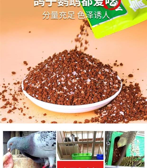 Dinh dưỡng Chim Tấm Đất sét cát đỏ Chim bồ câu Bồ câu Cung cấp Chim bồ câu Sức khỏe Shasha Chim bồ câu Canxi Cát cát Bột Bồ câu Thực phẩm - Chim & Chăm sóc chim Supplies lồng chim cu