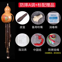 Анти -кротовая модель A Регулировка+стандартный подарок