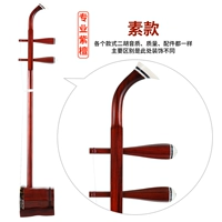 Профессиональный палиса (полный набор аксессуаров)