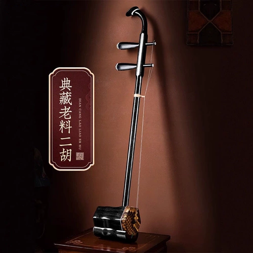 Профессиональные музыкальные инструменты, официальный флагманский магазин, прямые продажи с завода, подходит для начинающих