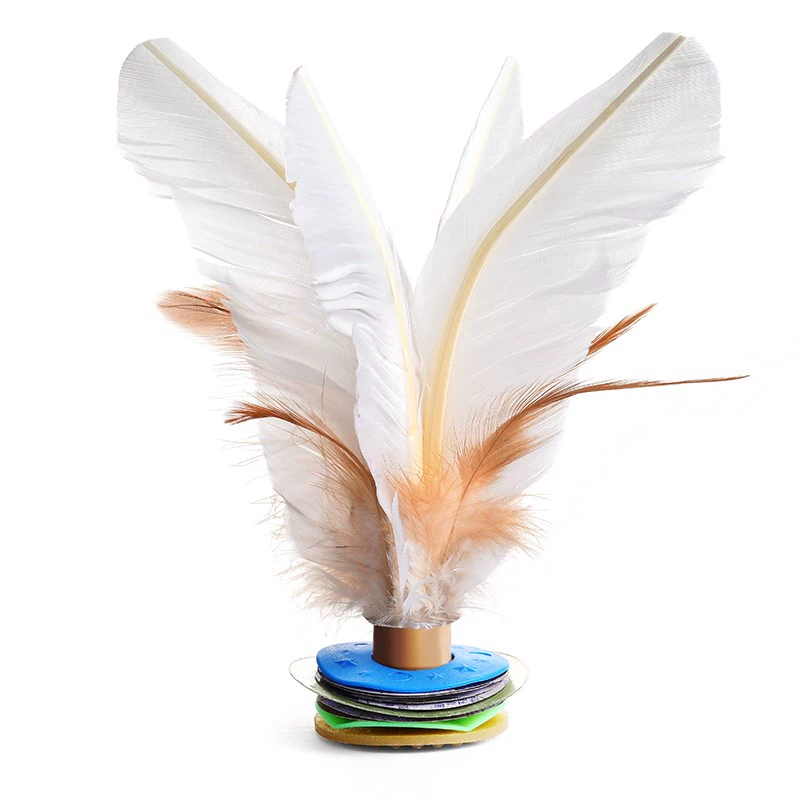 Feather Duster Bộ sưu tập lớn dành cho người lớn Trẻ em Thể dục Màu ngỗng Cuộc thi Trường tiểu học Feather Ball Hoa lớn - Các môn thể thao cầu lông / Diabolo / dân gian đá cầu lông gà