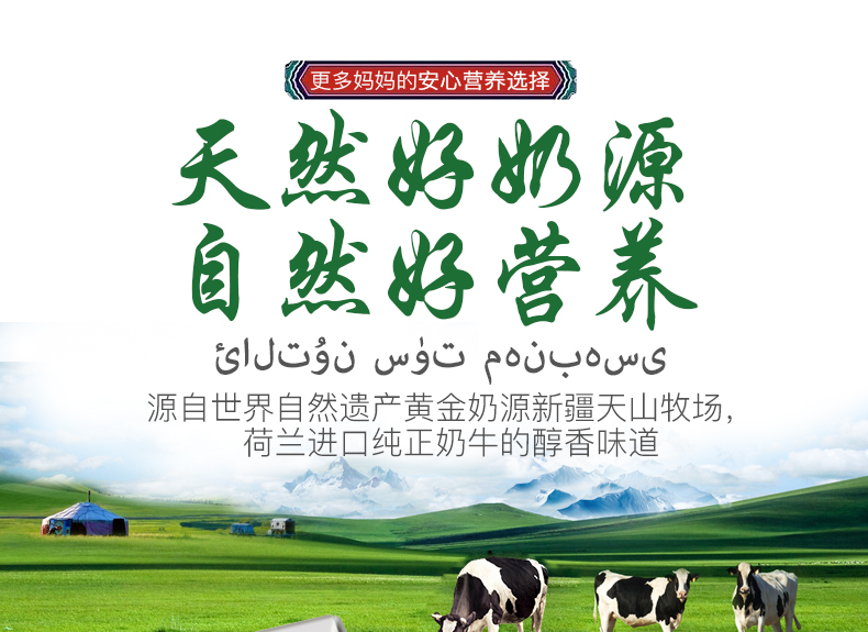 新疆巴氏杀菌风味酸奶 200g*24盒 图1