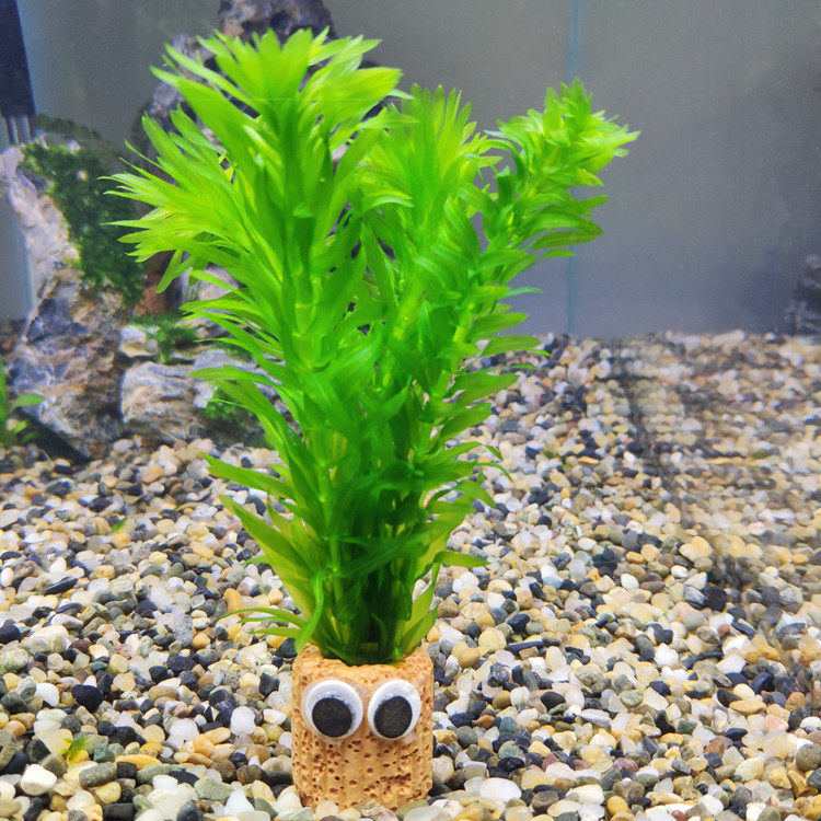 Small fish tank idler decorative landscaping set goldfish algae aquatic grass living mini water orchid aquarium aquatic grass