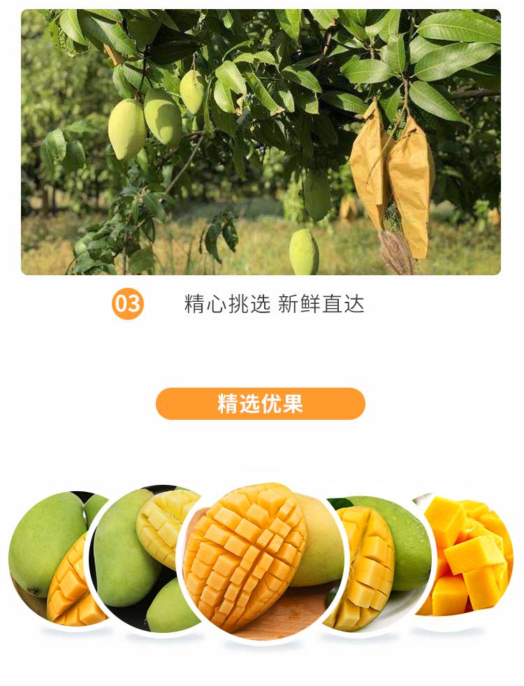 越南进口 玉芒 大青皮芒果 带箱10斤 图9