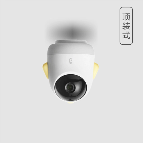 Адаптация отца морской лошади, чем наблюдать за нижней тарелкой грузовой пластины.