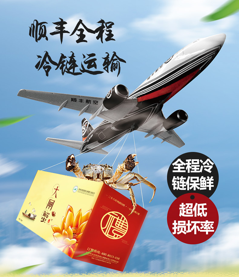副会长单位 现货12只 鲜活大闸蟹 公4.0两 母3.0两 图1
