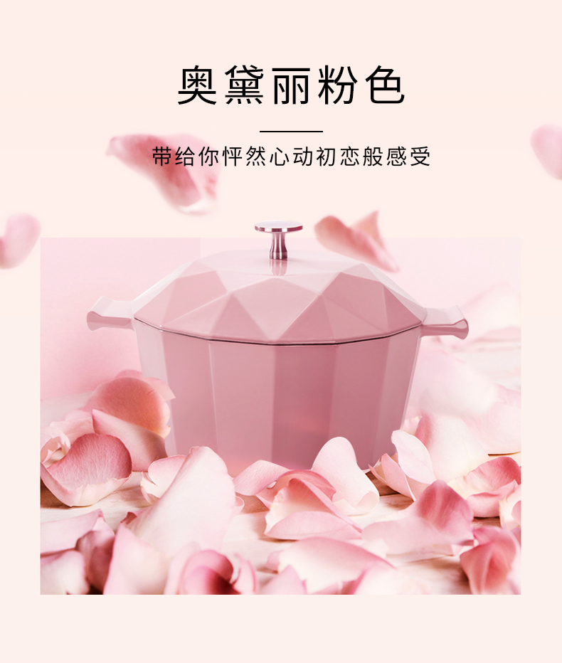 德国 韦诺森 Velosan 超高颜值 珐琅铸铁锅 22cm/2.8L 图3